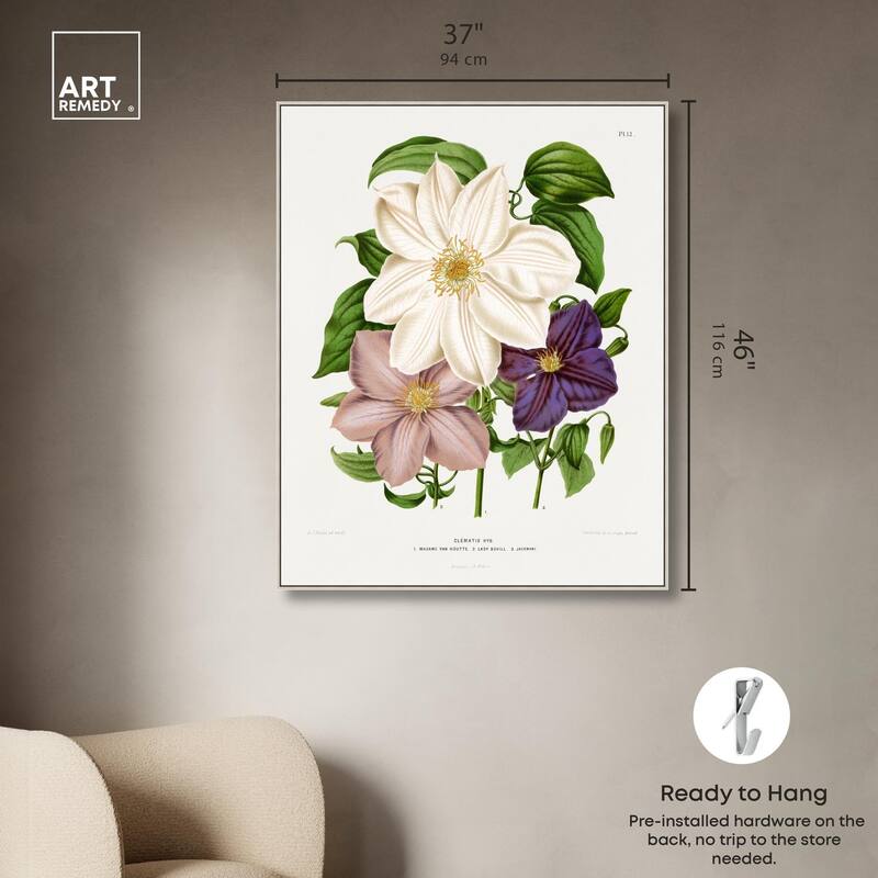 Clematis Canvas by Art Remedy