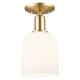 Option Champagne Bronze / White