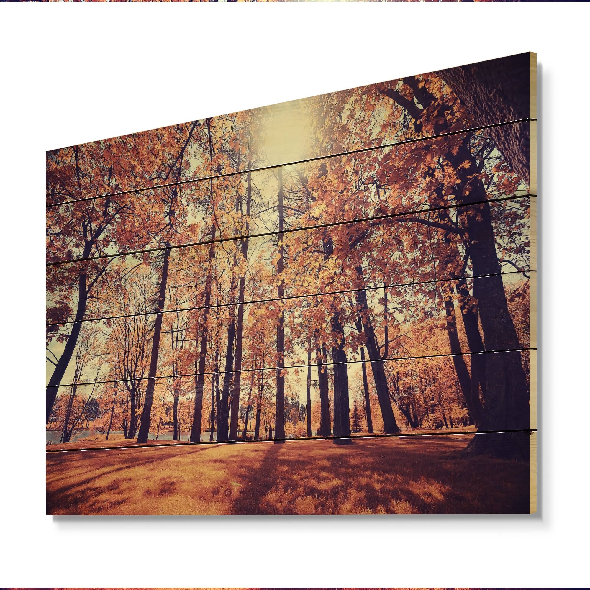 Designart 'Mystic Sunset In Orange Fall Forest II' Traditional Wood ...