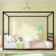 Option Black