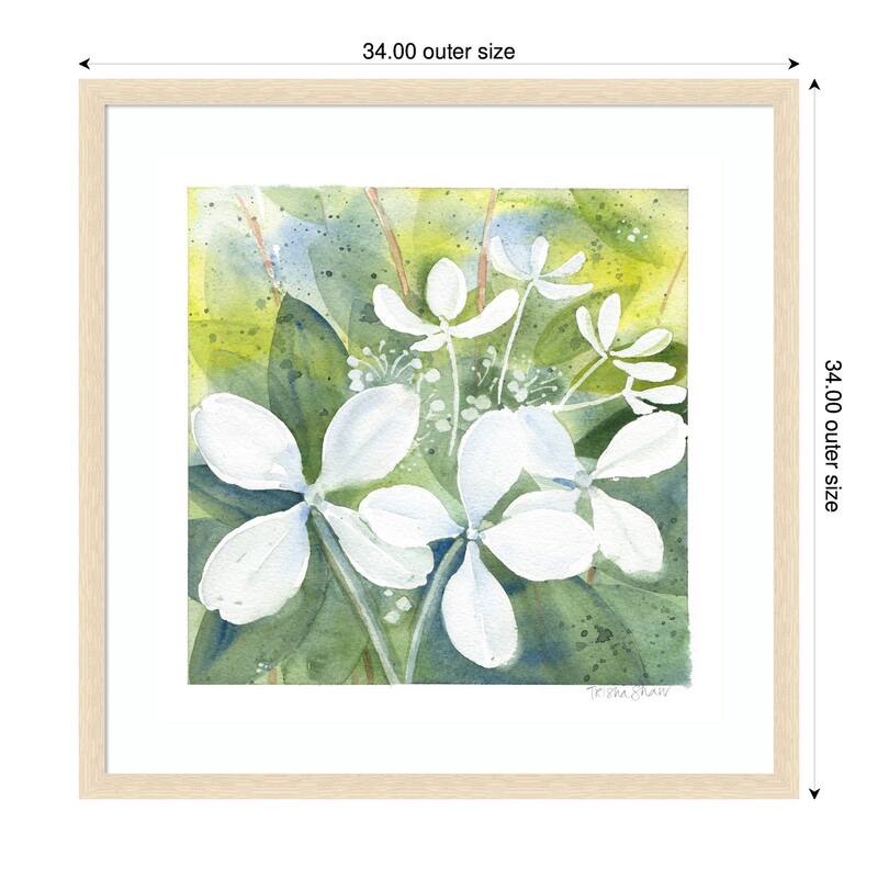 Kate and Laurel Framed Art White Phantom Hydrangea in Greens by Patricia Shaw