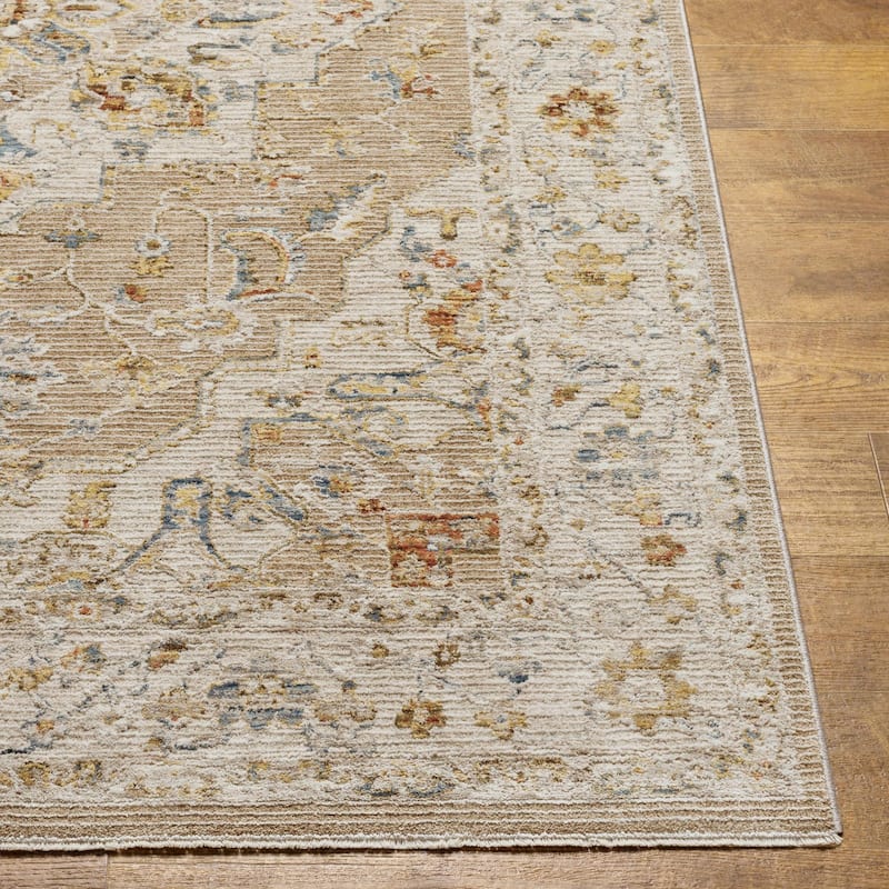 Tereza Updated Traditional Medallion Area Rug