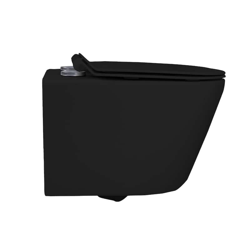 In-Wall toilet Combo Set - Toilet, Tank (2 x 6 Wall), Carrier System