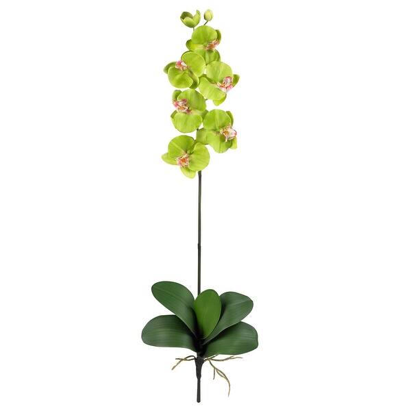 Phalaenopsis Silk Orchid Flower w/Leaves (6 Stems) Bed Bath & Beyond