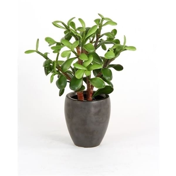 DDI 2632-2 Silk Greenery - Jade Plant in a Matte Black Metallic Plum Pot - Pack of - 2