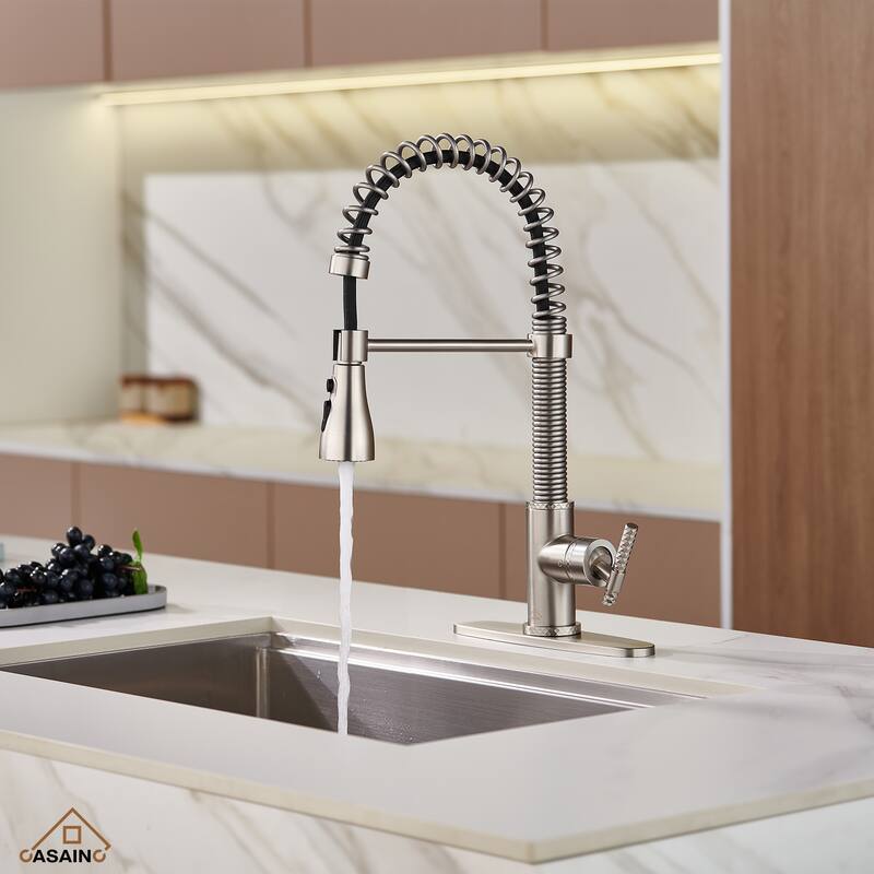 Single Handle Pull Down Sprayer Kitchen Faucet - Chrome/Clear