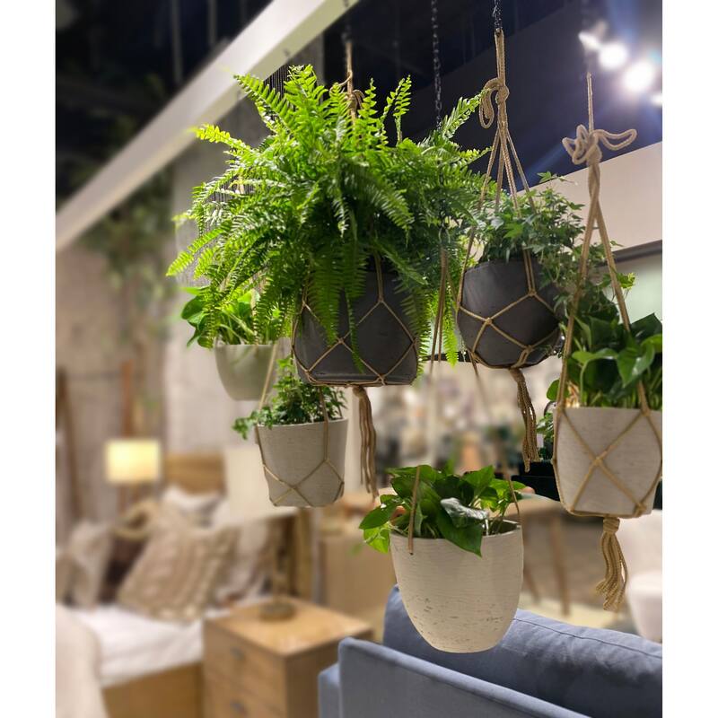 Last Chance Small Hanging Pot With Netting, Charcoal Grey