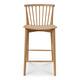 Option Oak