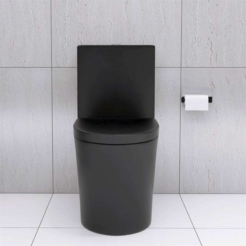 Matte Black Elongated One Piece Toilet