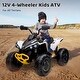 preview thumbnail 19 of 32, Kids ATV, 12V Ride on Toy Car Bombardier Licensed BRP Can-am