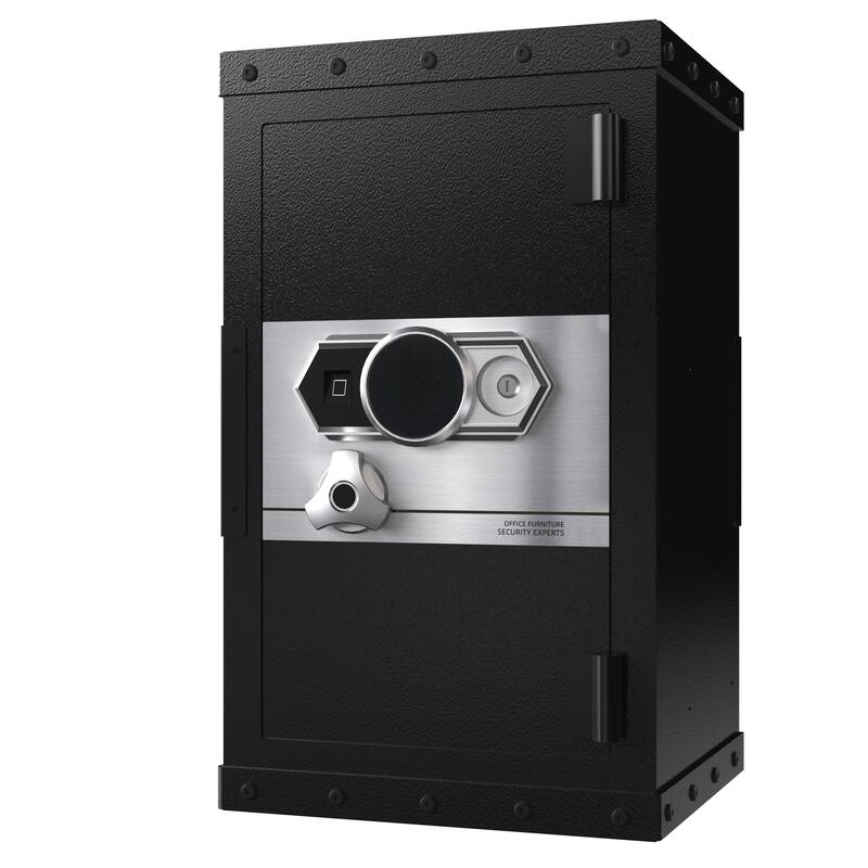 Roomfitters 28.3 Inch Biometric Security Safe with Fingerprint Lock and Hidden Compartment, Carbon Steel, Black
