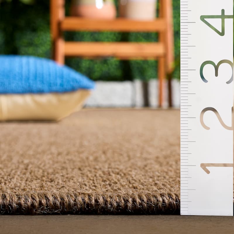 SAFAVIEH Sisal Performance Amelija Washable Indoor/Outdoor Rug - Weather Resistant & Easy Cleaning