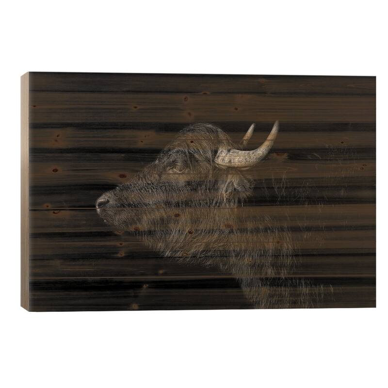 Buffalo Print On Wood by Paul Neville - Multi-Color - 18x26x1.5