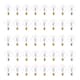 Option G16.5 Candelabra (E12)