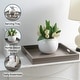 preview thumbnail 18 of 25, Convenience Concepts Palm Beach Tray
