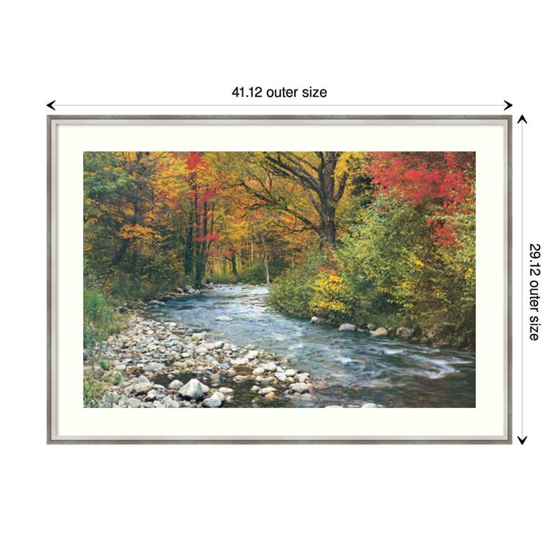 Forest Creek I Framed Art Print