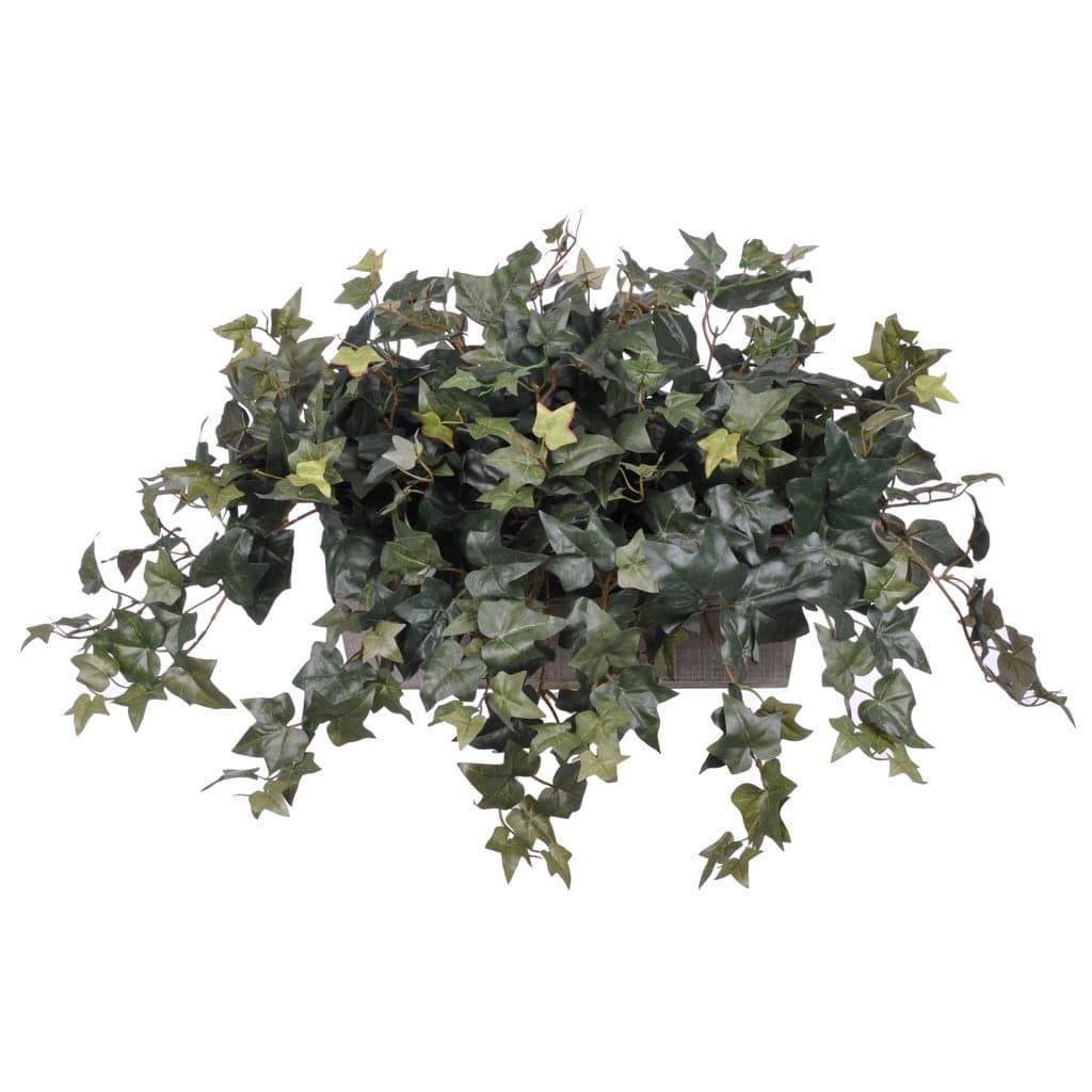 Faux English Ivy in Grey Wood Ledge