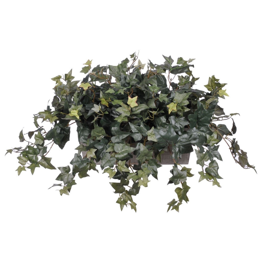 Faux English Ivy in Grey Wood Ledge