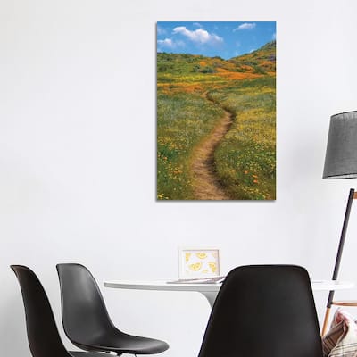 iCanvas "California Poppy, Desert Bluebell And Wildflower Spring Bloom, Diamond Valley Lake" by Tim Fitzharris Canvas Print