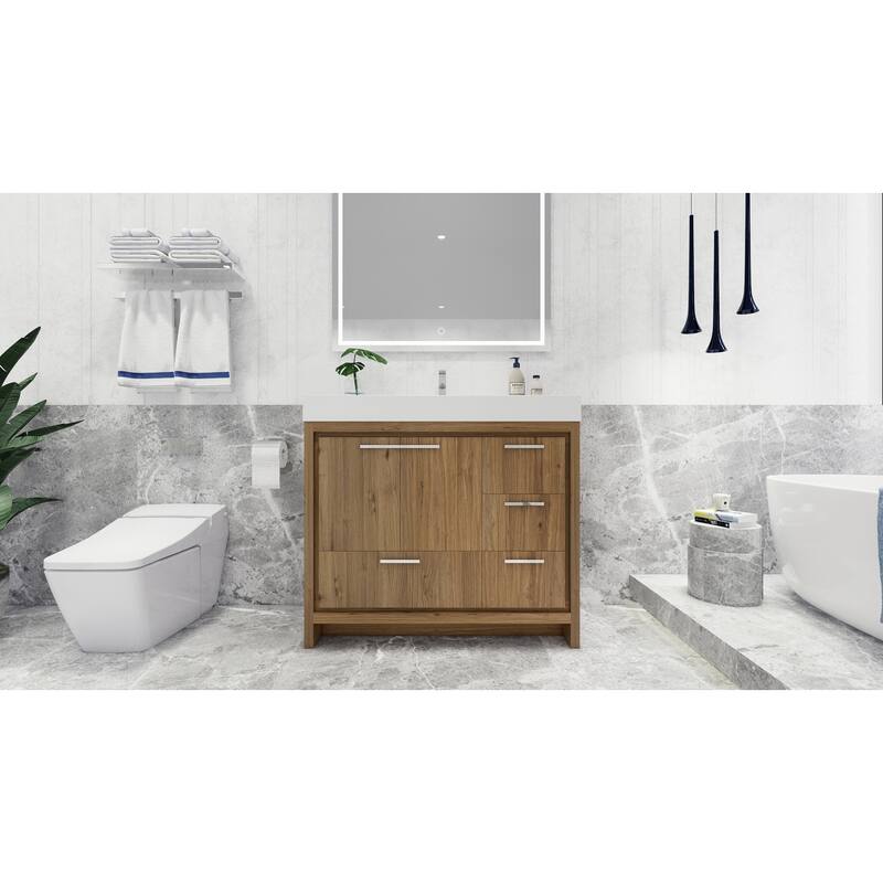 Dove 42'' Freestanding Vanity with Reinforced Acrylic Sink