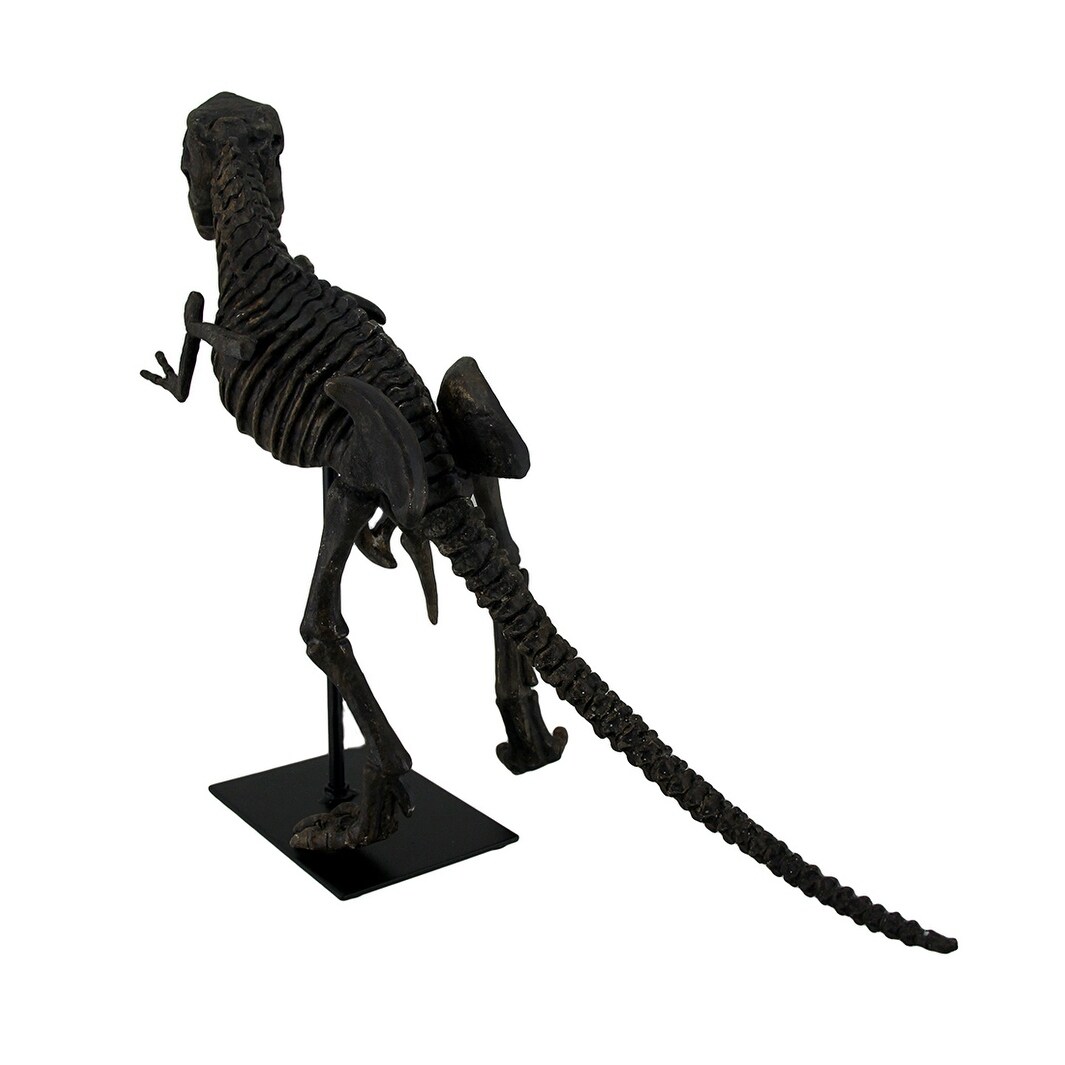 https://ak1.ostkcdn.com/images/products/is/images/direct/9e77b848c1ab6dfcfad9c0664e466421ec85df1c/18-in.-Long-Dinosaur-Skeleton-Statue-On-Museum-Mount.jpg