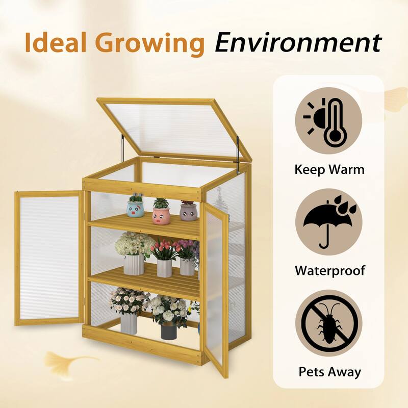 Wooden Cold Frame Mini Greenhouse for Outdoor Garden, 2-Tier Cabinet - wood - Mini Greenhouse