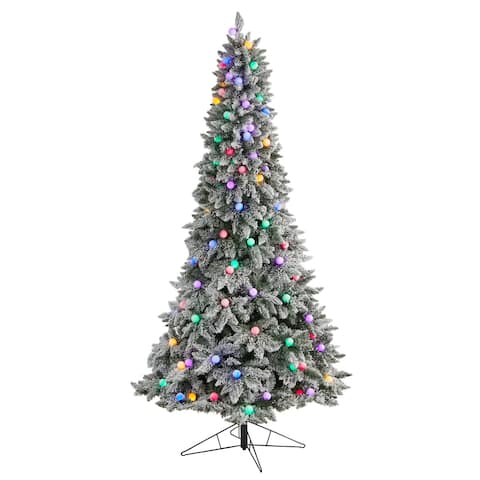 8.5' Flocked British Columbia Mountain Fir Christmas Tree - 8.6