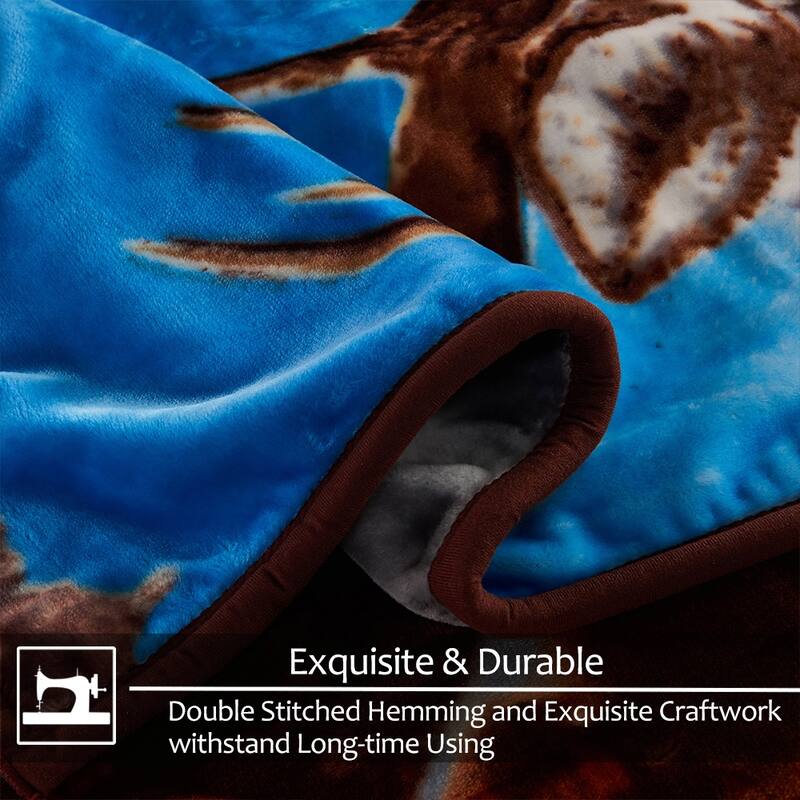 Raschel A&B Printed 2-ply Reversible Korean-style Plush Fleece Blanket