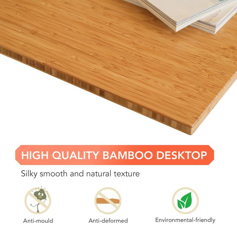 FLEXISPOT Home Office Height Adjustable Standing Desk 3-Stage Dual Motor Bamboo Rectangle Desktop