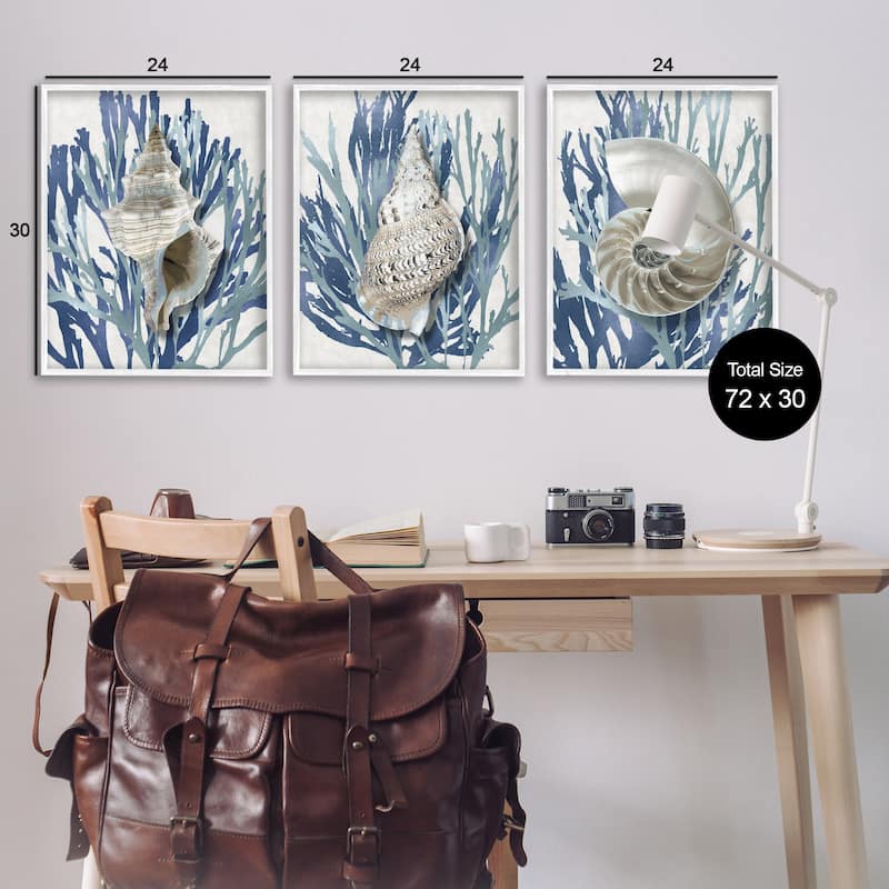 Stupell Trio of Shell Coral Blue Beach Design, 3pc Multi Piece Framed Wall Art Set