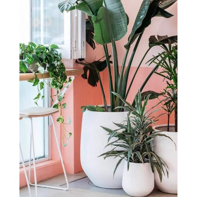 DreamPatio La Mirada 1-piece Fiberstone Tapered Planter for Indoor/Outdoor