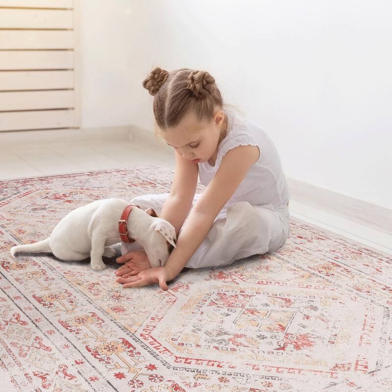 Washable 8x10 Area Rugs for Living Room Stain Resistant Carpet Vintage Rugs for Bedroom with Non Slip Backing Home Decor