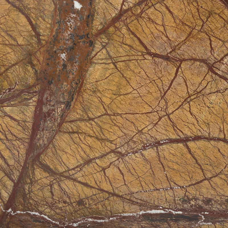 SAFAVIEH Couture Adriano 12-inch Marble Accent Table - 12"W x 12"D x 18"H