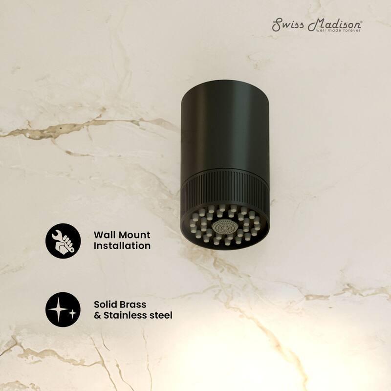 Lumiere 2-Spray Patterns 2.5 Gpm Wall Mount Fixed Shower Head In Matte Black