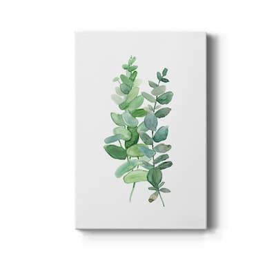 Eucalyptus II Premium Gallery Wrapped Canvas - Ready to Hang