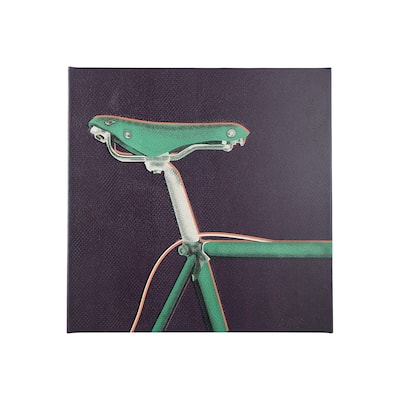 Bike Saddle III (30 x 30) Canvas Art Print