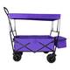 Option Purple