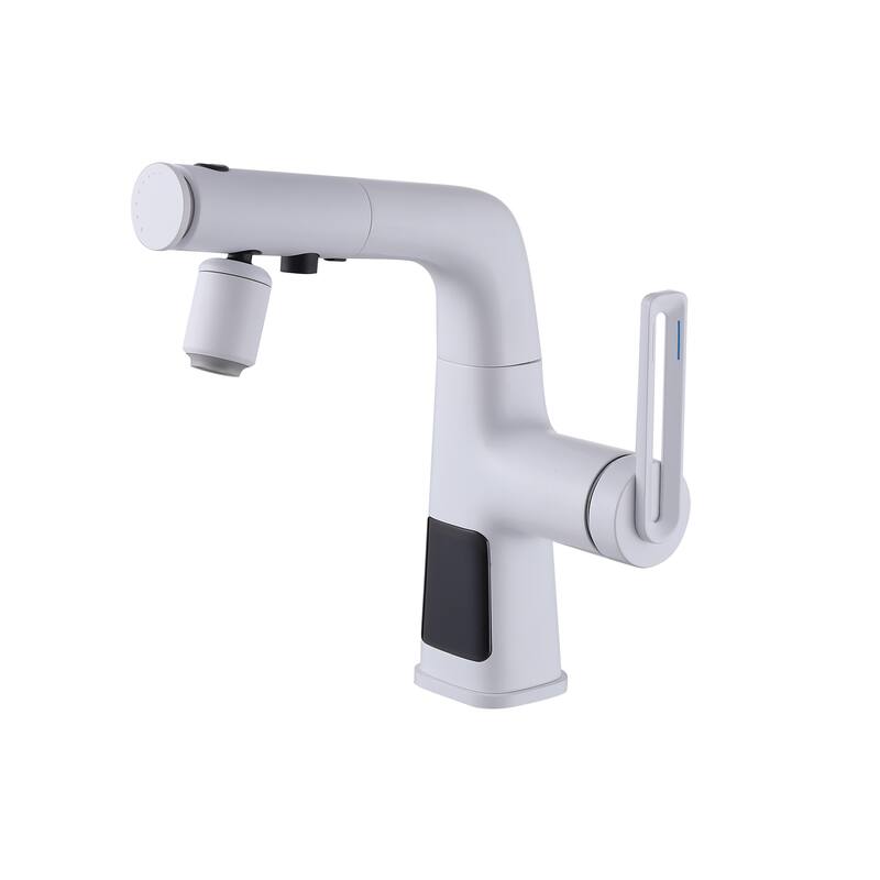 Rbrohant Pull Down Bathroom Sink Faucet, Kitchen Faucets with 360° Swivel Sprayer And Digital Display