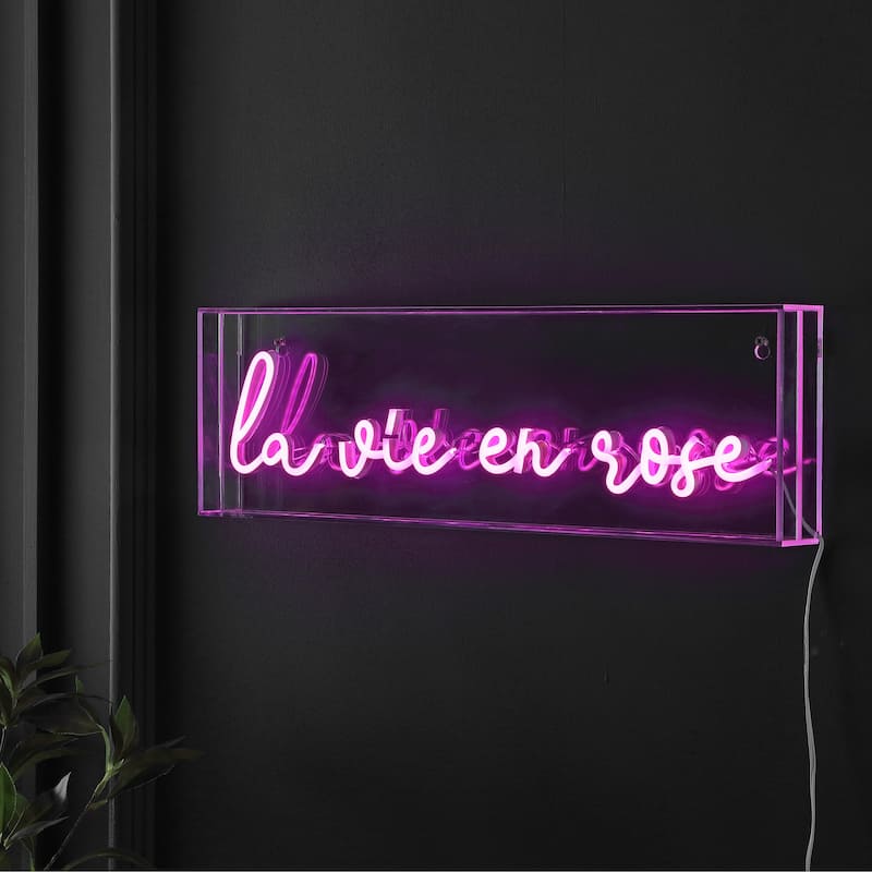 La Vie En Rose 20" X 6" Contemporary Glam Acrylic Box USB Operated LED Neon Light, Pink by JONATHAN Y - 20" X 6"