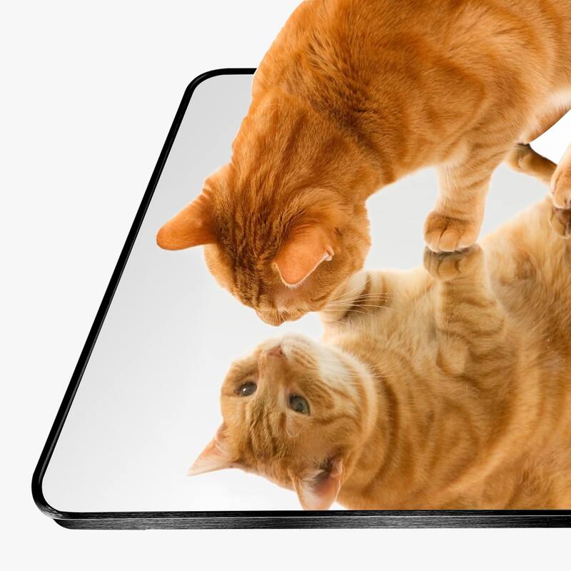 2 Pack Rectangle Vanity Mirror Wall Mirror