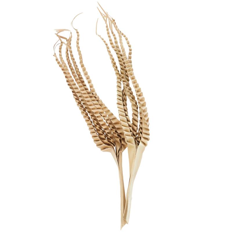 Beige Dried Plant Handmade Tall Five Finger Palm Leaf Home Decor Natural Foliage