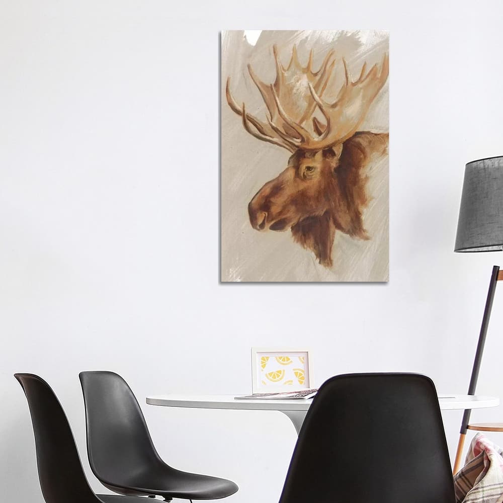 iCanvas "Western American Animal Study II" by Ethan Harper Canvas Print