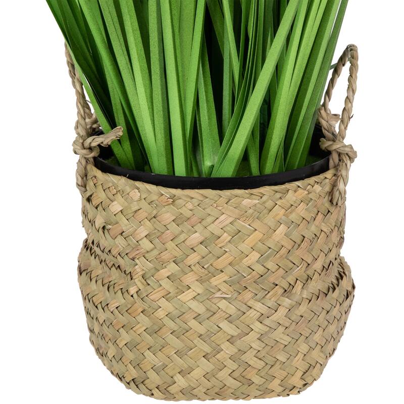 28" Artificial Onion Grass Plant in Basket