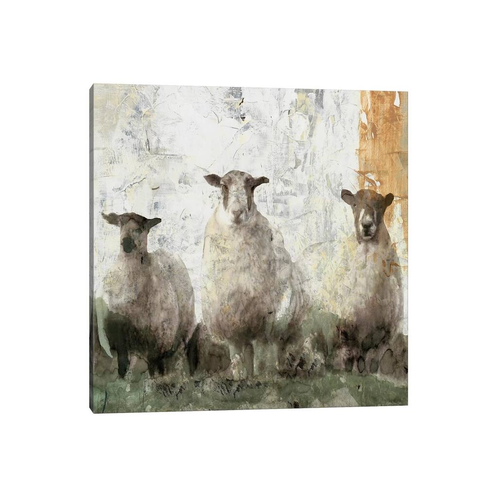 iCanvas "Three Sheep" by Stellar Design Studio Canvas Print