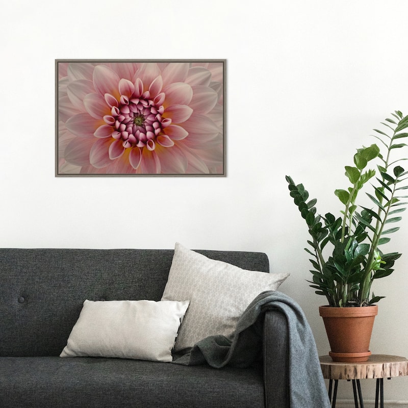 Pink Dahlia Macro by Richard Urbanski (23 x 16 in.), Framed Canvas Wall Art Print - Sylvie Greywash