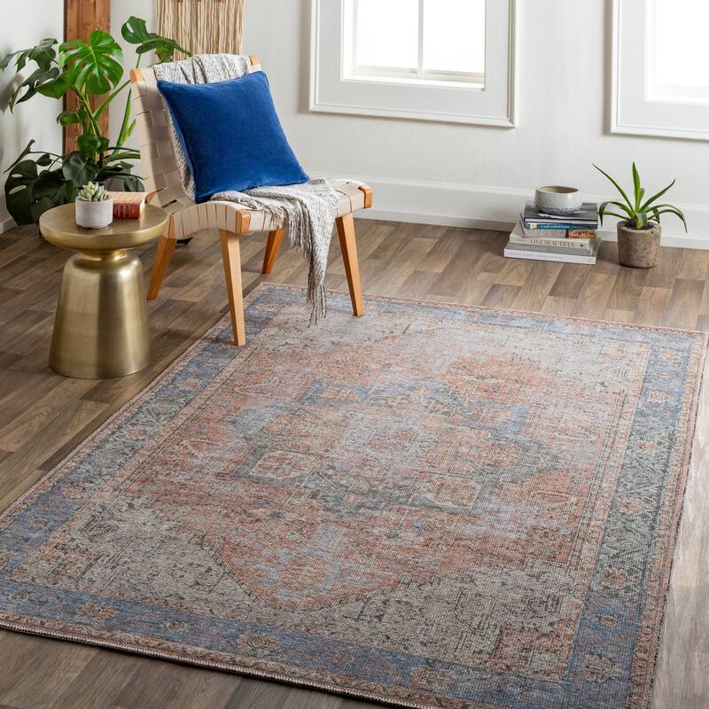 Epaphras Traditional Medallion Area Rug