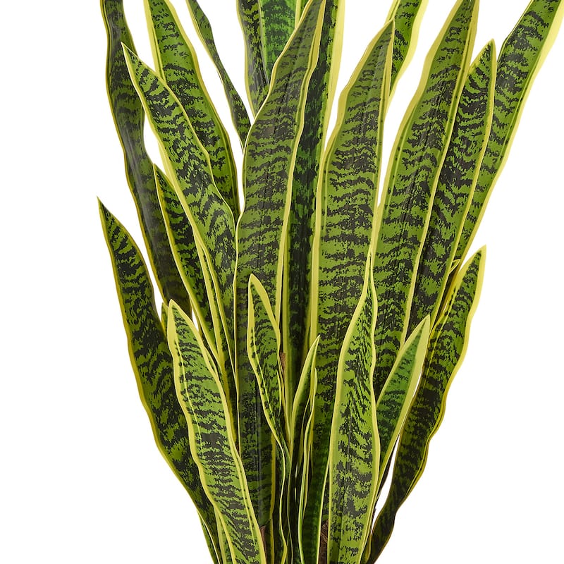 53" Potted Sansevieria Plant