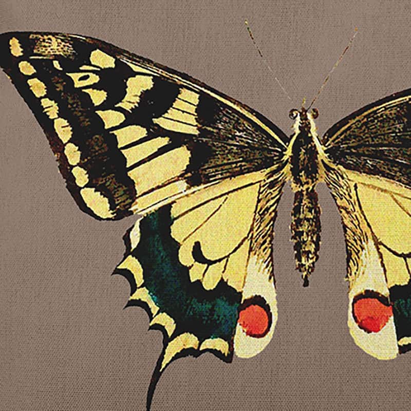Rare Swallowtail Polyester Indoor/Outdoor Pillow