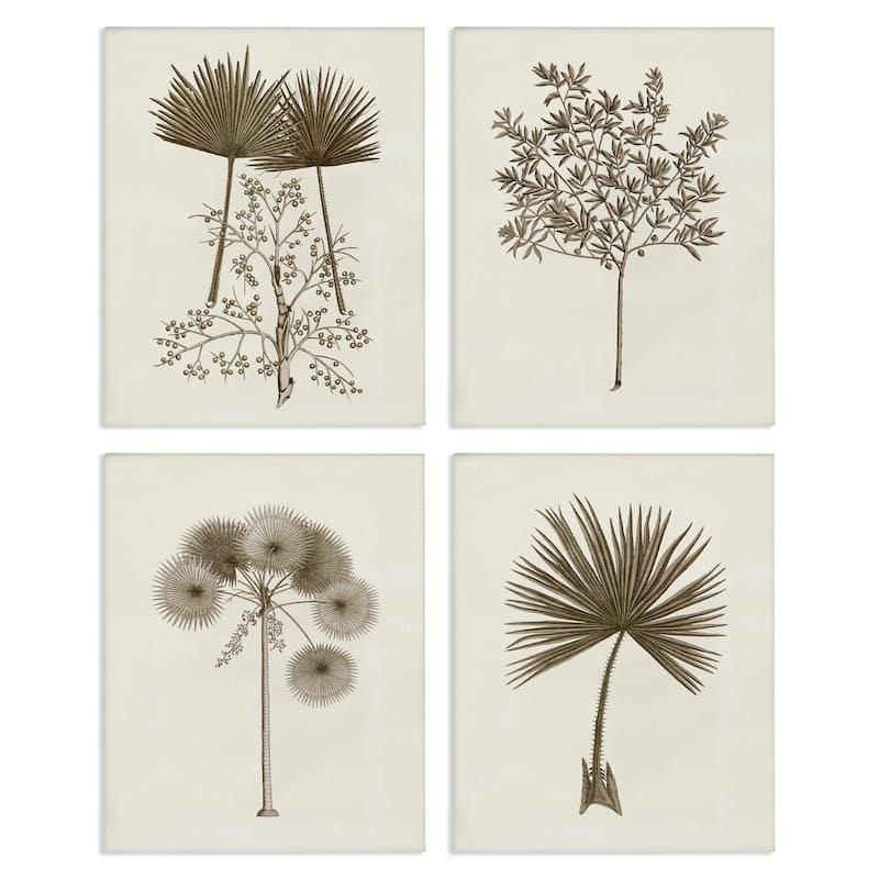 Stupell Various Vintage Palm Leaves Canvas Wall Art Design By Phillipa Katz (Set of 4) - 16 x 20