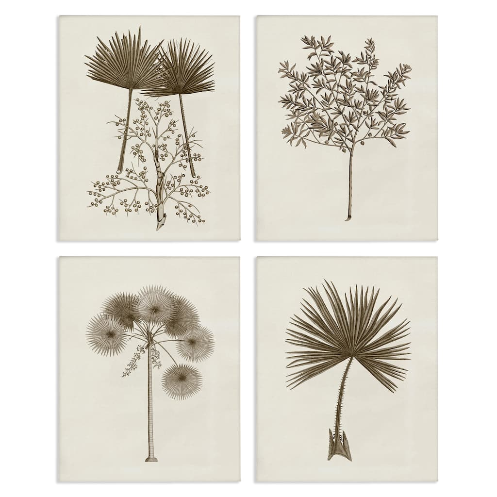 Stupell Various Vintage Palm Leaves Canvas Wall Art Design By Phillipa Katz (Set of 4)